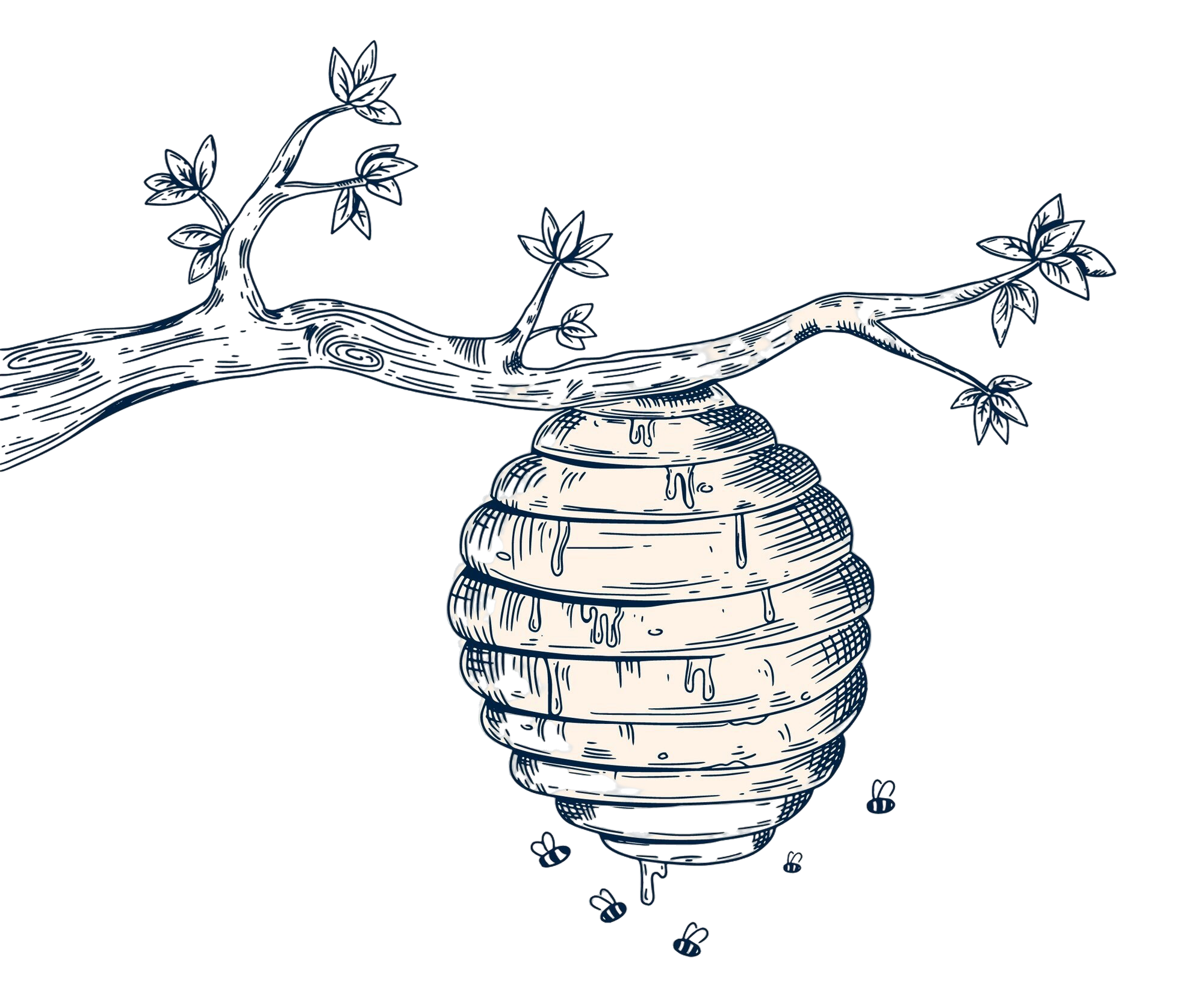 Vintage beehive illustration hanging from a branch