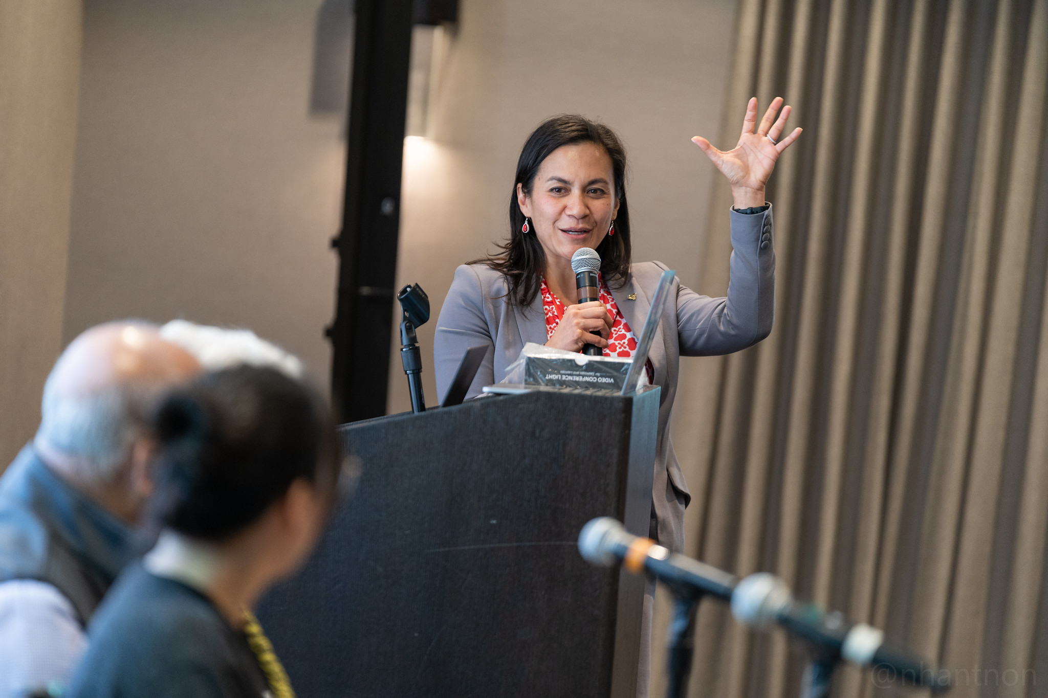 Jeleen facilitating a panel